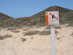 28053 Do not let the trail.jpg